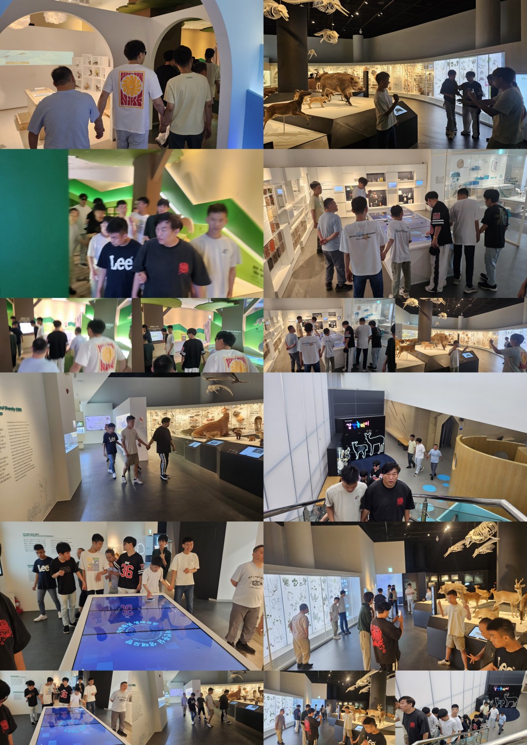 a34a5ec9122983f8c55c79561047b8ac_1749792016_1406.jpg